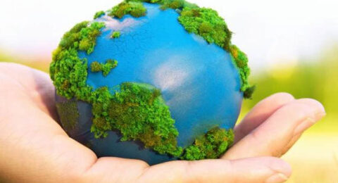 dia-medioambiente-14