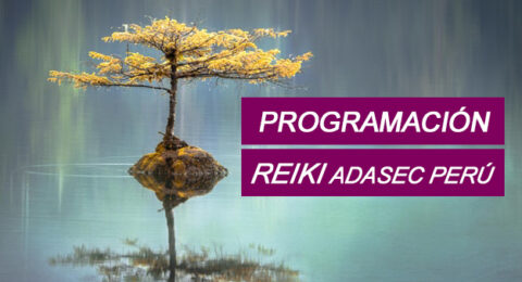 REIKI ADASEC PERU PROGRAMACION-2